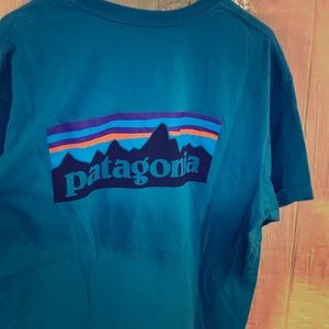 Blue Patagonia Shirt L
